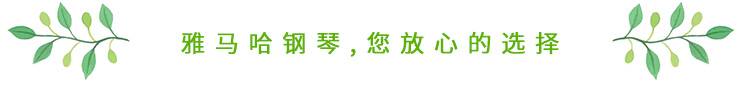 这才是真相：绿色关爱，利记sbobet的环境政策